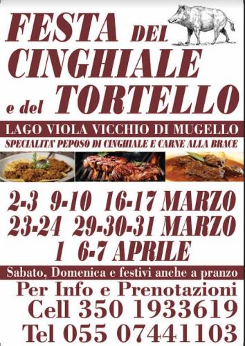 Festa Del Tortello Del Cinghiale E Della Carne Alla Brace - Vicchio