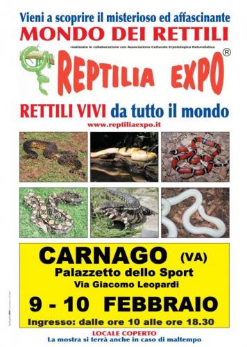 Reptilia Expo - Carnago
