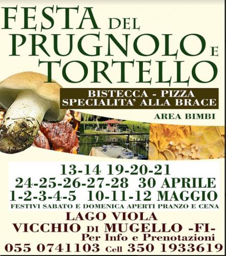 Festa Del Prugnolo E Tortello A Vicchio - Vicchio