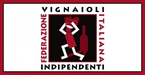 Mercato Dei Vini Dei Vignaioli Indipendenti - Piacenza