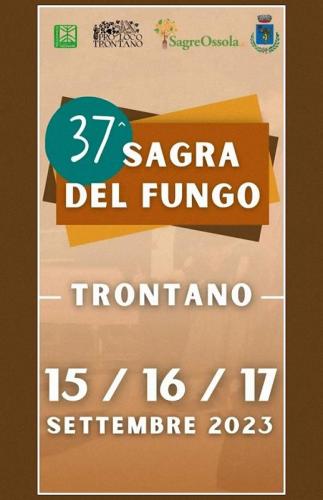 Sagra Del Fungo - Trontano