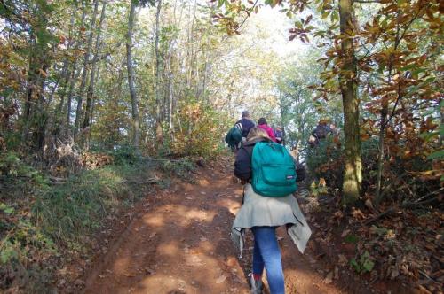 Quattro Passi Tra Le Foglie D'autunno - Rivanazzano Terme