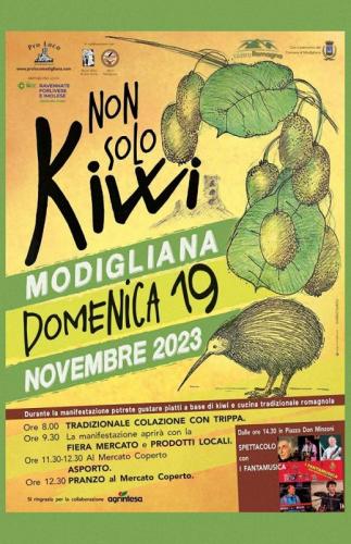 Festa Del Kiwi A Modigliana - Modigliana