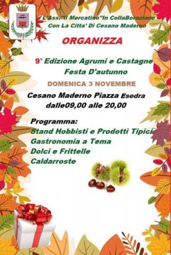 Festa D'autunno - Cesano Maderno