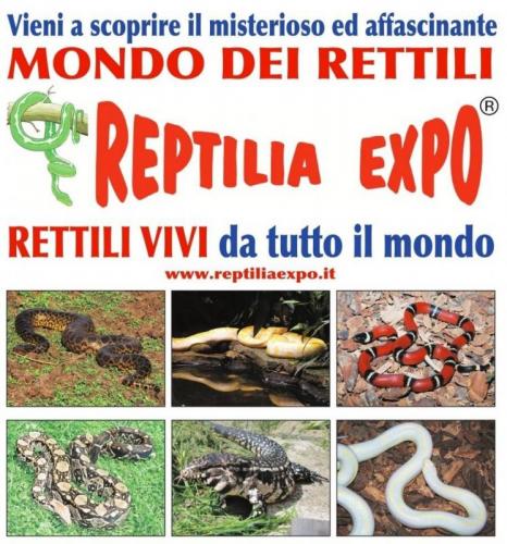 Reptilia Expo - Gambolò