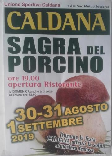 Sagra Del Fungo Porcino A Caldana - Gavorrano