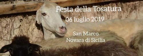 Festa Della Tosatura - Novara Di Sicilia