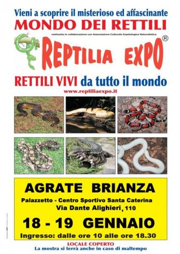 Reptilia Expo - Agrate Brianza