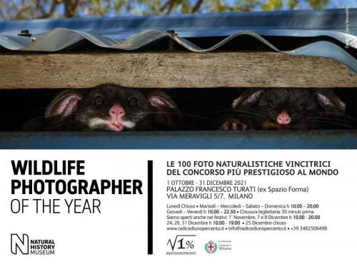 Wildlife Photographer Of The Year - Milano