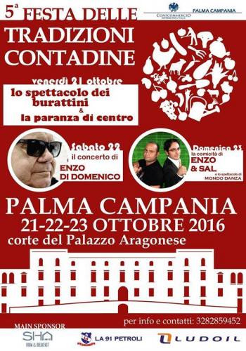 Festa Delle Tradizioni Contadine - Palma Campania