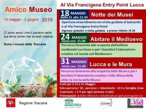 Amico Museo - Lucca