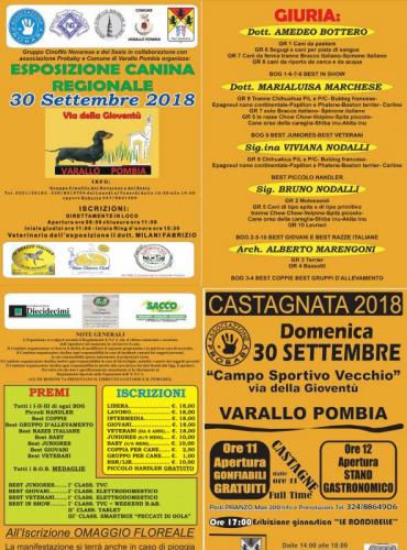 Esposizione Canina Amatoriale Di Cani Di Razza - Varallo Pombia