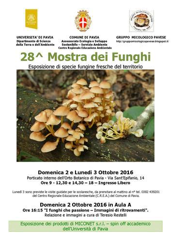 Mostra Dei Funghi - Pavia
