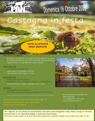 Sagra Della Castagna - Camugnano