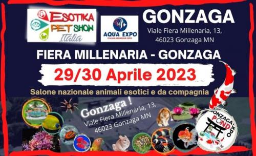 Esotika Pet Show A Gonzaga - Gonzaga