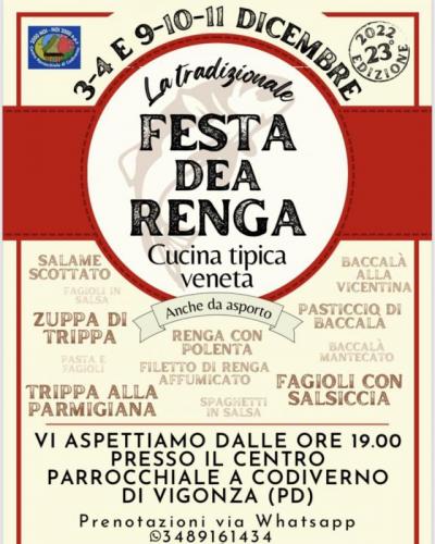Festa Dea Renga A Vigonza - Vigonza