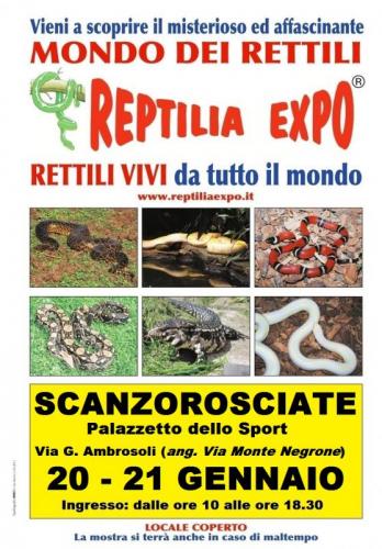 Reptilia Expo - Scanzorosciate