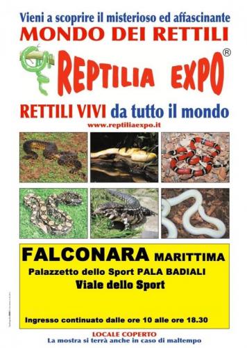 Reptilia Expo - Falconara Marittima