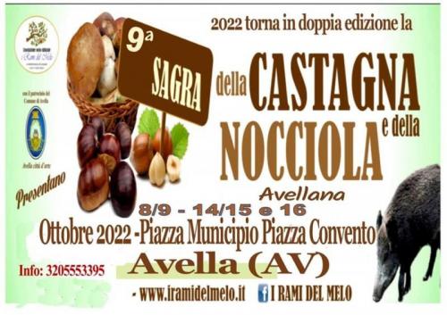 Sagra Della Castagna E Della Nocciola - Avella