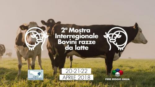 Mostra Regionale Bovini Razze Da Latte - Reggio Emilia