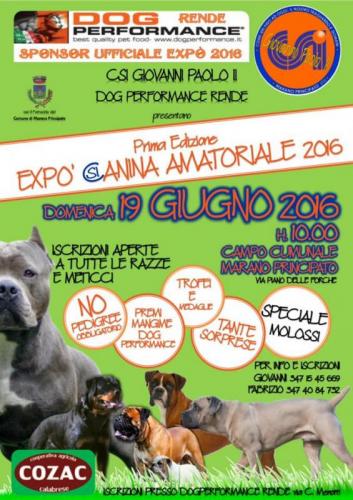 Expo Canina Amatoriale - Marano Principato