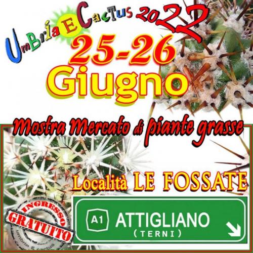 Umbria E Cactus Mosta Mercato Di Piante Grasse  - Attigliano