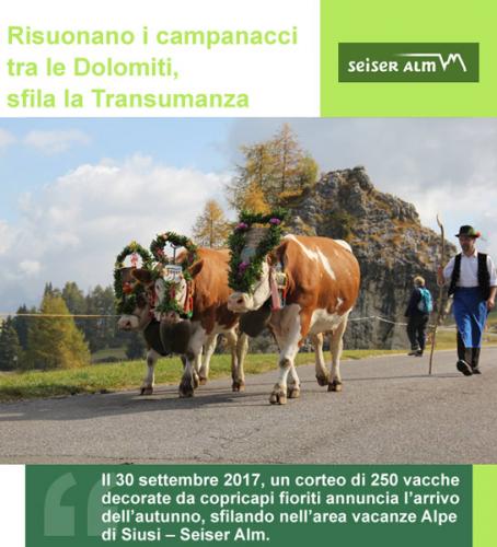 Dolomiti In Transumanza - Castelrotto