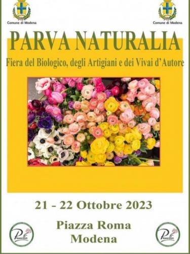 Parva Naturalia A Modena - Modena