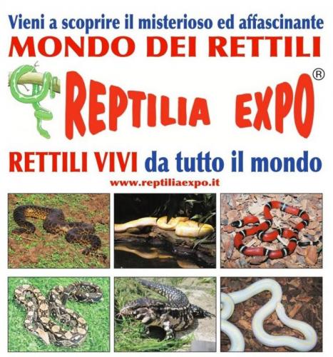 Reptilia Expo - Quiliano