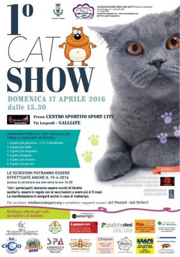 Cat Show A Galliate - Galliate