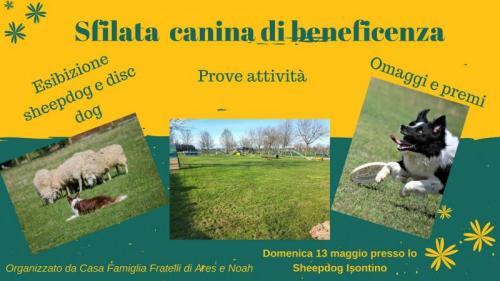 La Sfilata Canina 4 Zampe In Passerella - San Canzian D'isonzo