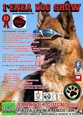 Enea Dog Show - Anzio