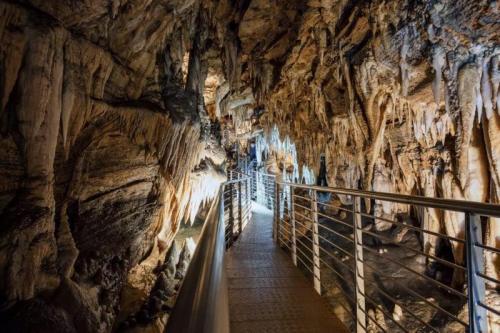 Corchia Underground - Stazzema