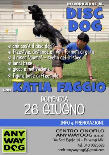 Disc Dog - Ancona