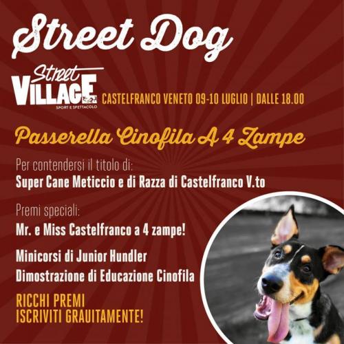 Street Dog - Castelfranco Veneto