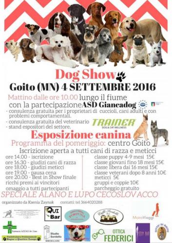 Dog Show Goito - Goito