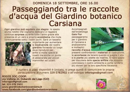 Passeggiando Tra Le Raccolte D'acqua Del Giardino Botanico Carsiana - Sgonico
