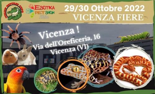 Esotika Expo Vicenza - Vicenza