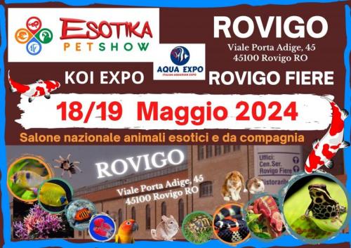 Esotika Expo A Rovigo - Rovigo
