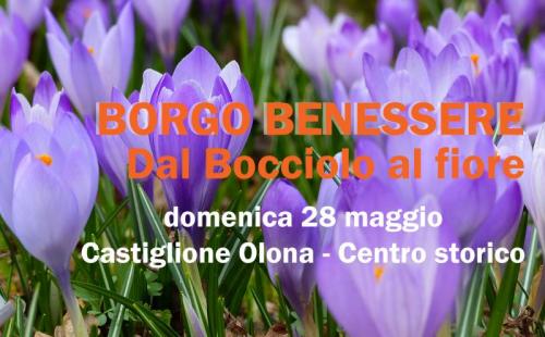 Borgo Benessere - Castiglione Olona