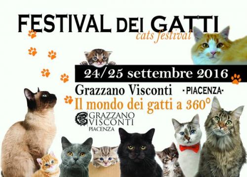 Festival Dei Gatti - Vigolzone