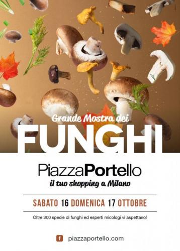 Mostra Micologica A Piazza Portello - Milano
