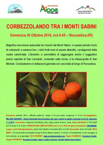 Corbezzolando Tra I Monti Sabini - Roccantica