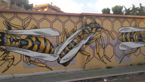 Street Art Al Quadraro E Galleria Spazio Y - Roma