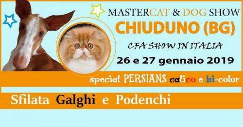 Mastercat Show A Chiuduno - Chiuduno