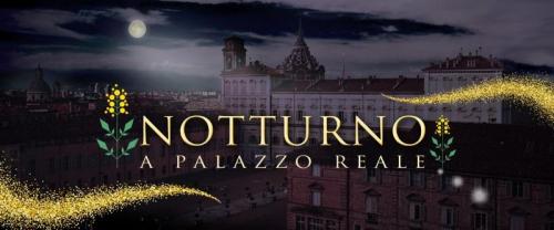 Notturno A Palazzo Reale - Torino