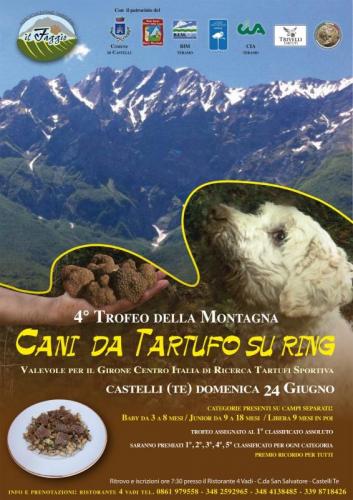 Trofeo Della Montagna - Castelli