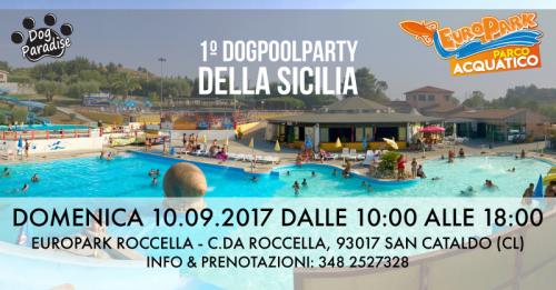 Dog Pool Party - San Cataldo