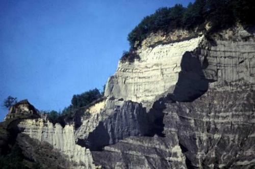 Pliocenica - Castell'arquato