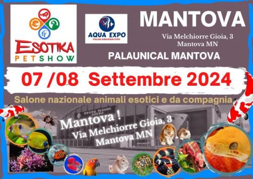 Esotika Pet Show A Mantova - Mantova